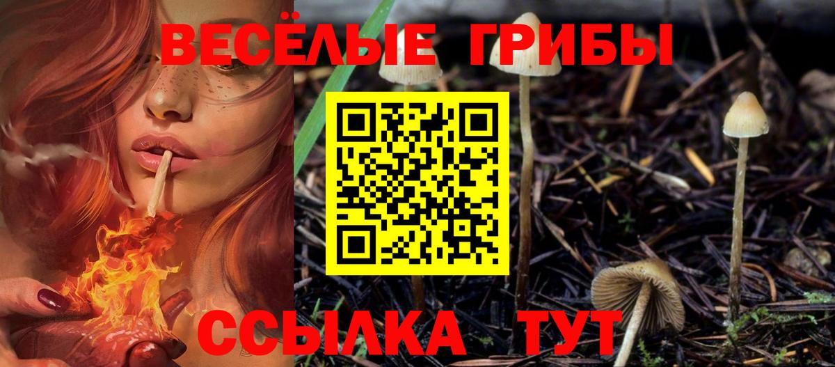 Галлюциногенные грибы MAGIC MUSHROOMS  Вход с VPN  Похвистнево 