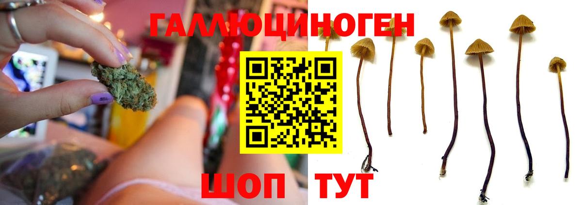 Мефедрон Похвистнево
